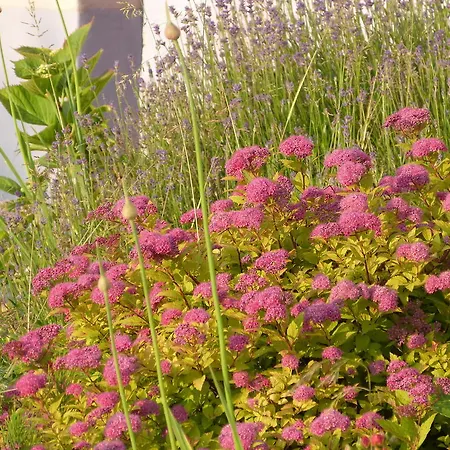 Chez Grace Maison De Pour 8 Personnes